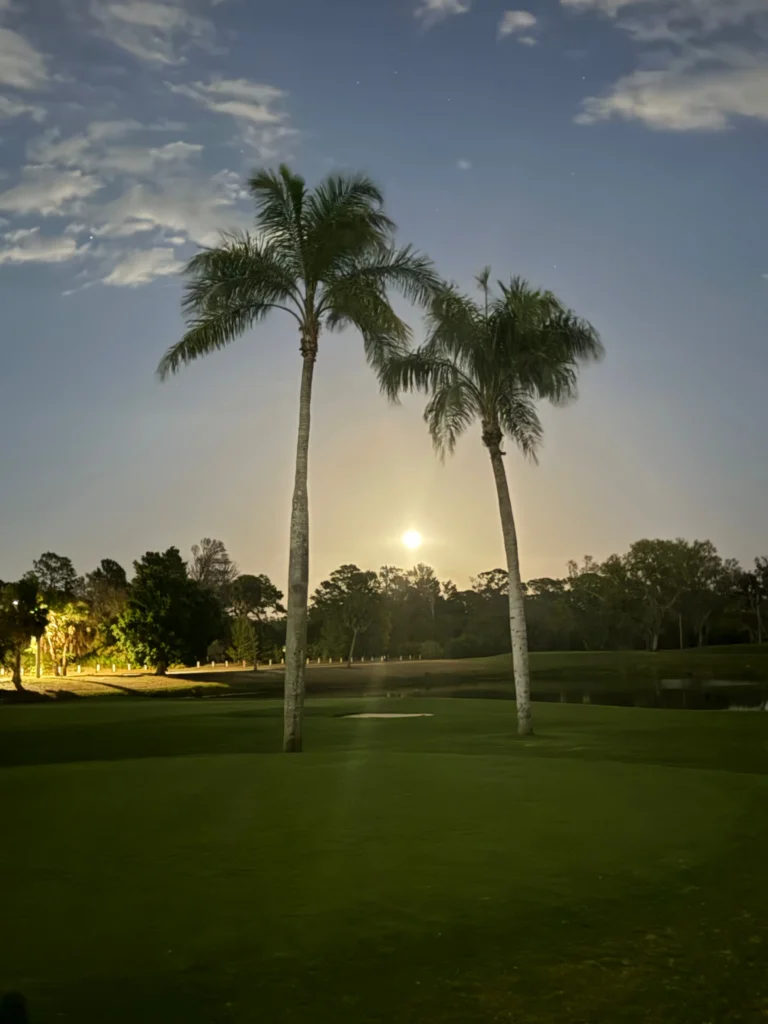 Two tall royal palms frame a moonlit fairway at a private golf club in St. Petersburg, FL, with manicured lawn and water feature beyond.
